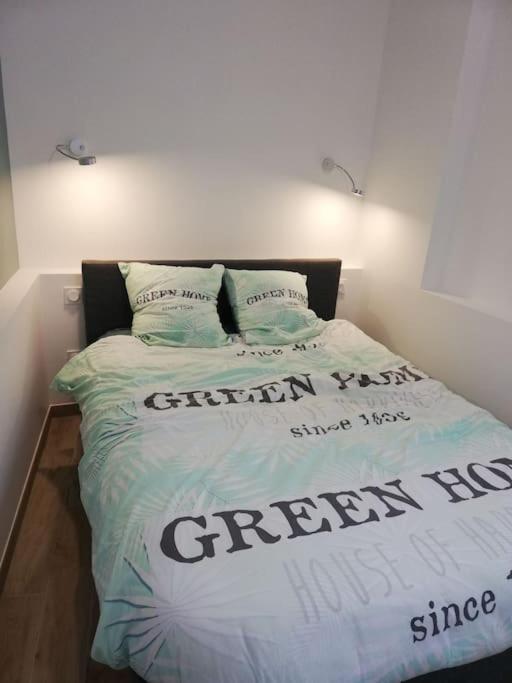 Bel Appartement Coeur De Grenoble Tout Equipe Экстерьер фото