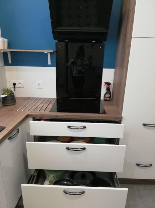 Bel Appartement Coeur De Grenoble Tout Equipe Экстерьер фото